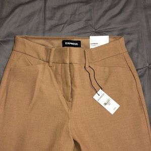Express Dress pants